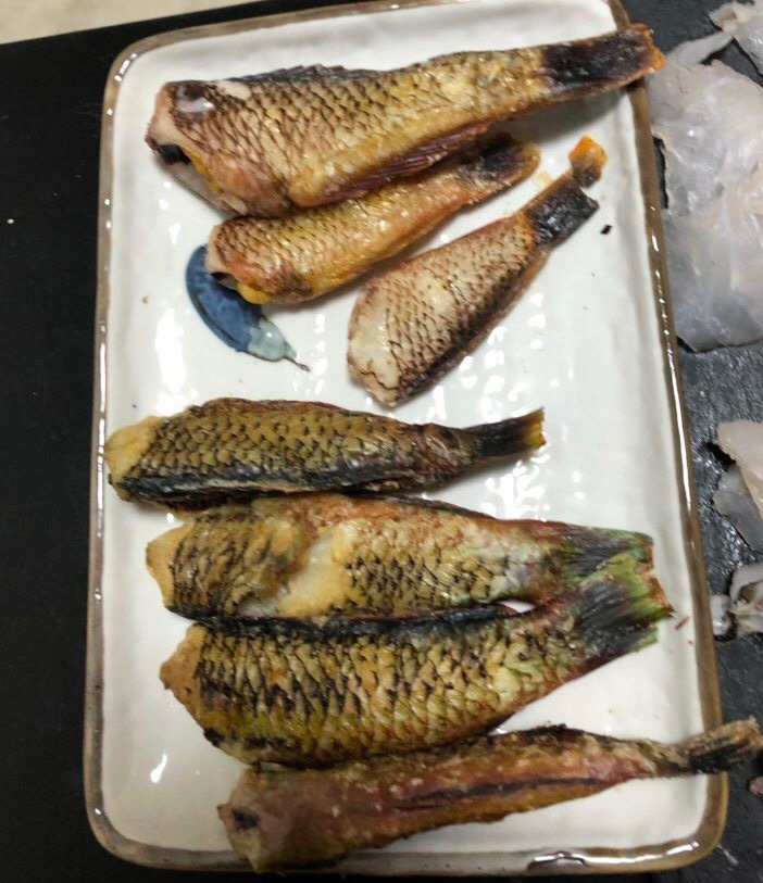 ベラを食べよう 実はとても美味しい魚です 青梅のヤマメに告ぐ 鮎 渓流 ウナギ ルアー 堤防 ボート釣り