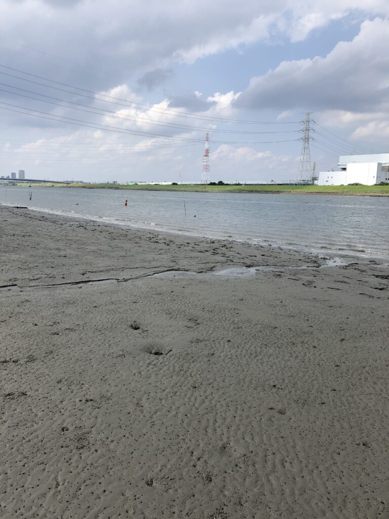 江戸川放水路