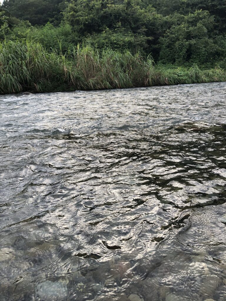 秋川の瀬