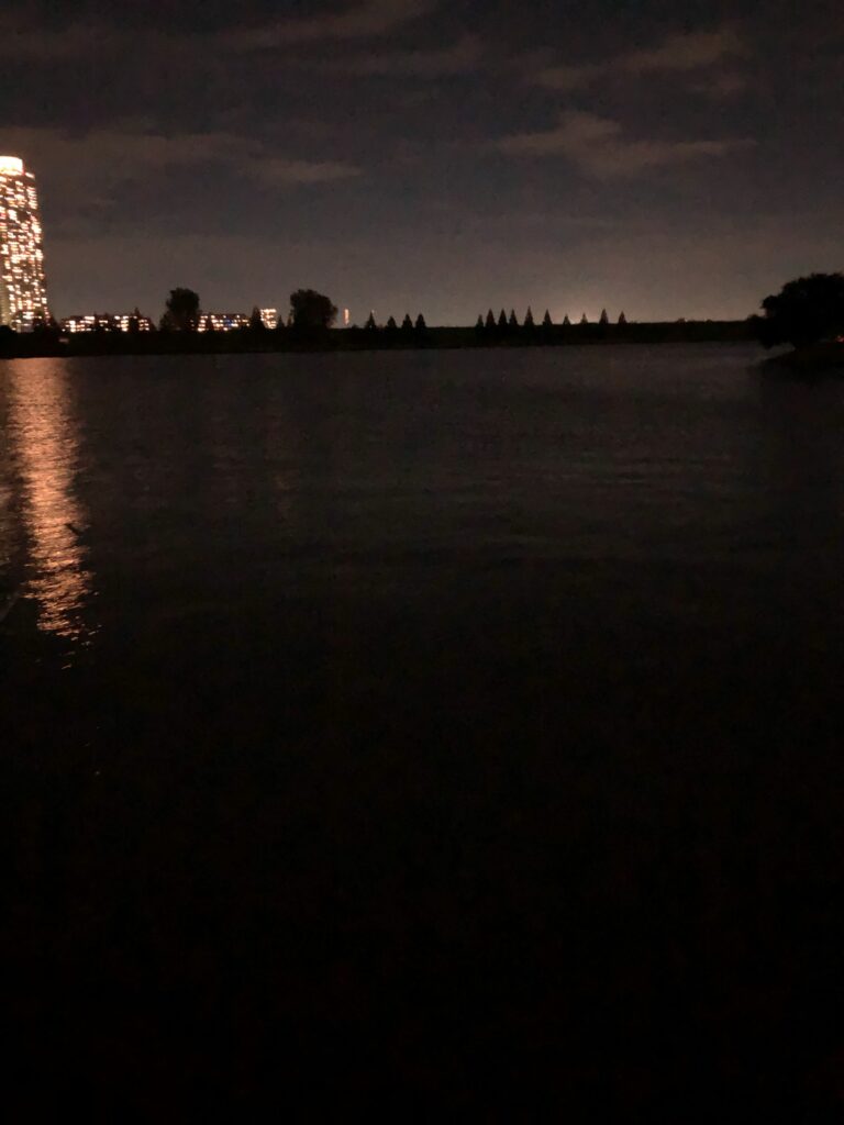 荒川の夜釣り